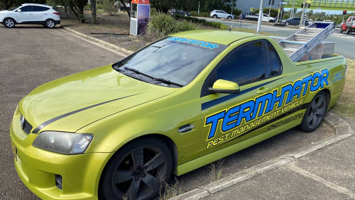 Why Local Pest Control Matters in Ipswich & Surrounding Suburbs
