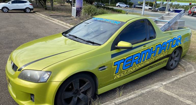 Why Local Pest Control Matters in Ipswich & Surrounding Suburbs